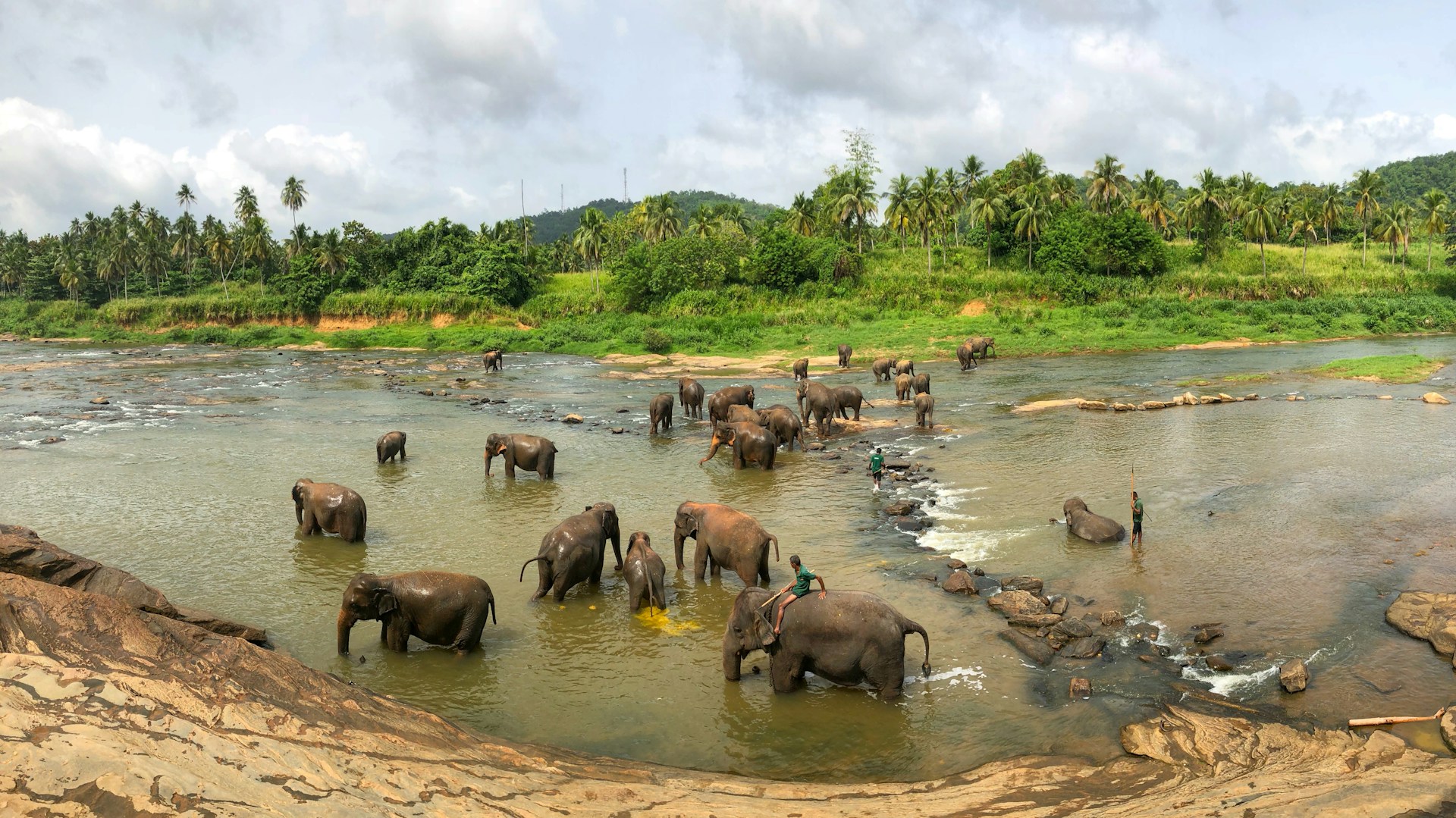 pinnawala