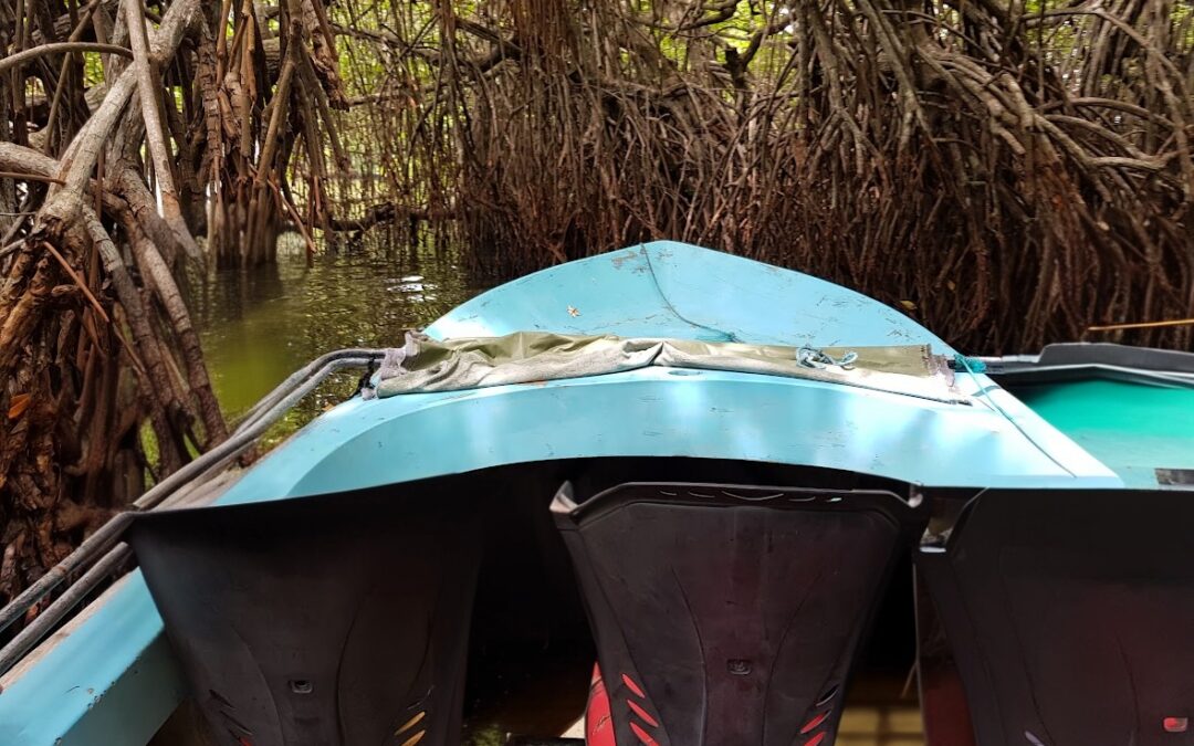 2 Days | 1 Night : From Serene Boat Safaris to Timeless Forts