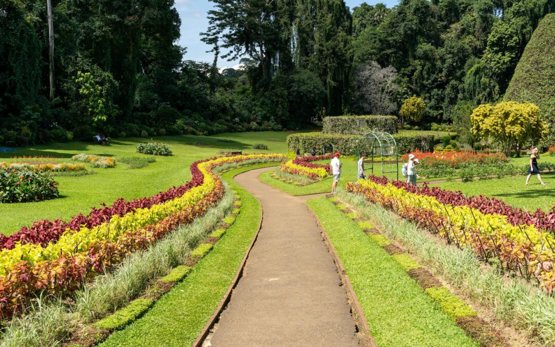 Royal Botanical Garden Peradeniya