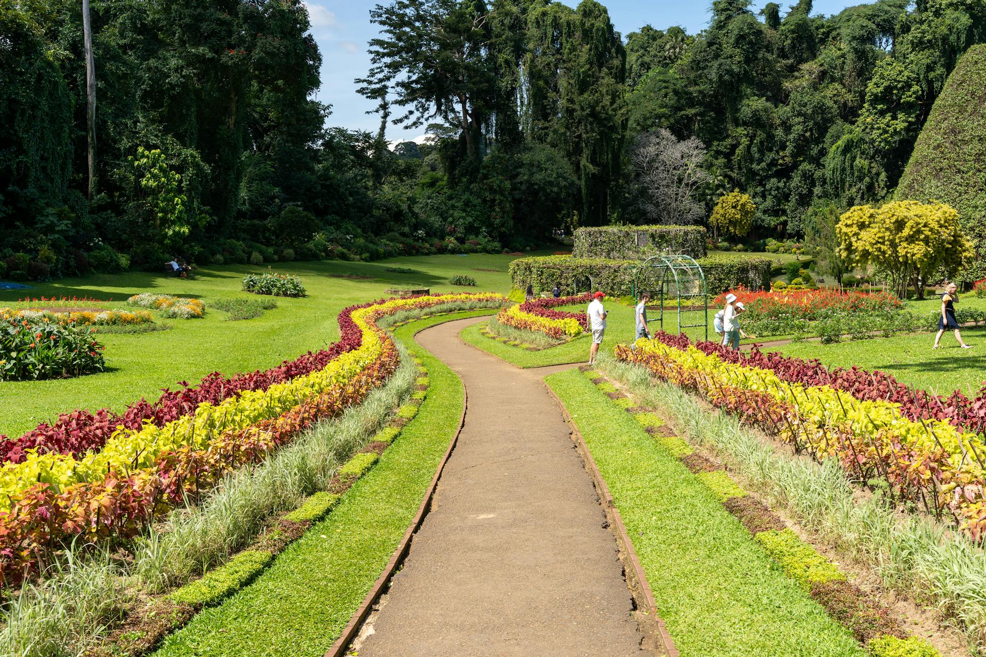 Royal Botanical Garden at Peradeniya