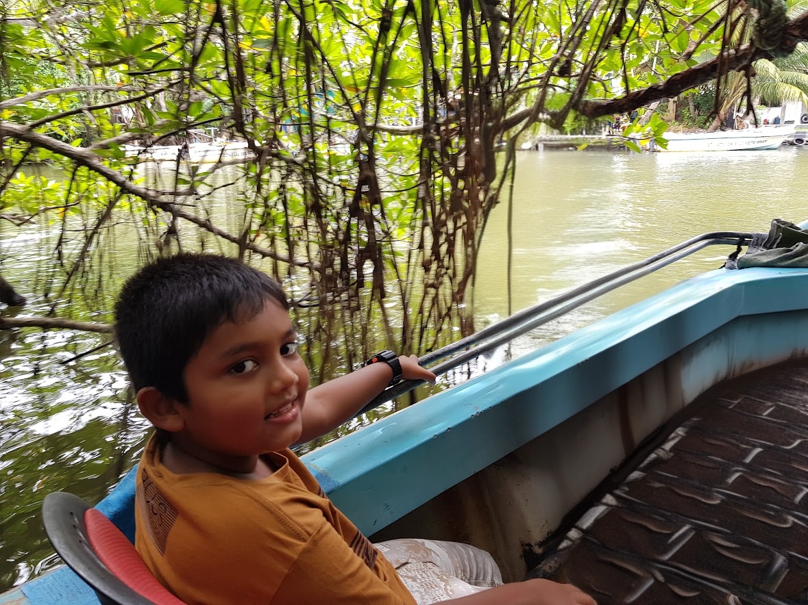 madu river boat safari